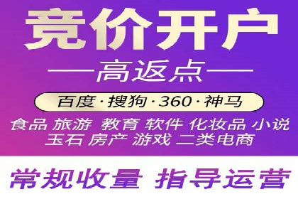 百度竞价排名实战：某电商平台的成功之路